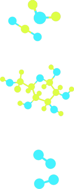 兩個分子模型：一個是二氧化碳，一個是水。