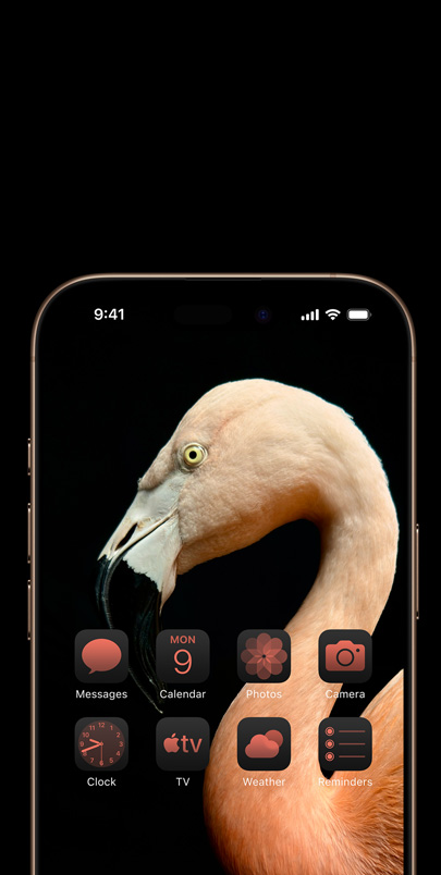 iPhone 16 screen with a dynamic side-profile photo of a pink flamingo  and widgets tinted pink to match.